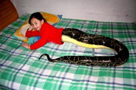 Must Visit in Thailand: Snakegirl Attracts Tourist