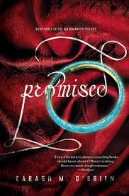 Review: Promised (Audiobook)