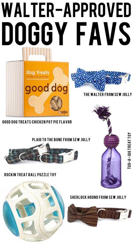 Great toys + treats + accessories for dogs. Toys for tiring them out and engaging them and the cutest handmade collars from Colorado! 