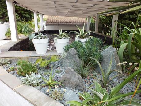 The Koi Pond: Planting Details