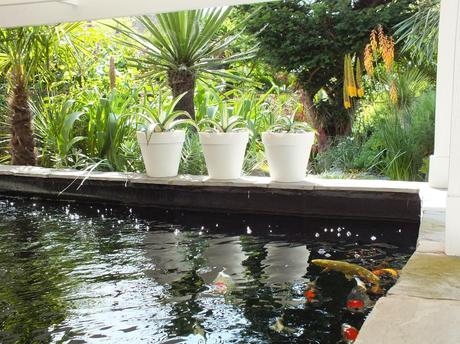 The Koi Pond: Planting Details