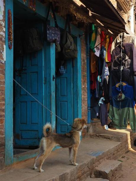 PC220323 バクタブル，カトマンズ郊外の世界遺産の町 / Bhaktapur (Kathmandu), the World Heritage