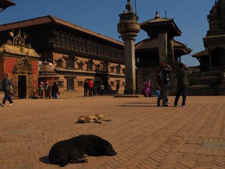 PC220250 バクタブル，カトマンズ郊外の世界遺産の町 / Bhaktapur (Kathmandu), the World Heritage