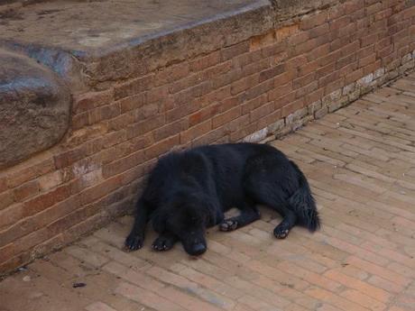 PC220337 バクタブル，カトマンズ郊外の世界遺産の町 / Bhaktapur (Kathmandu), the World Heritage