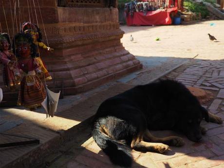 PC220263 バクタブル，カトマンズ郊外の世界遺産の町 / Bhaktapur (Kathmandu), the World Heritage