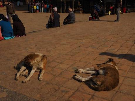 PC220285 バクタブル，カトマンズ郊外の世界遺産の町 / Bhaktapur (Kathmandu), the World Heritage