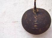 Black Radish