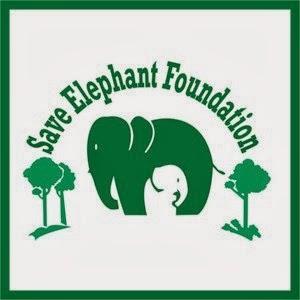 Win a trip to Thailand by defending Asian elephants