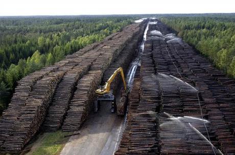 Graveyard of Wood 