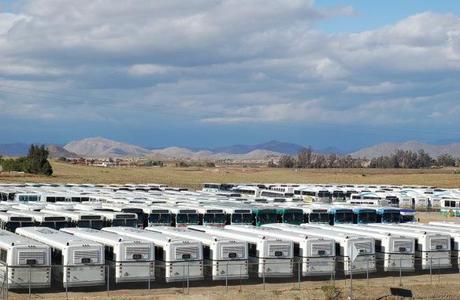 Graveyard of Buses 