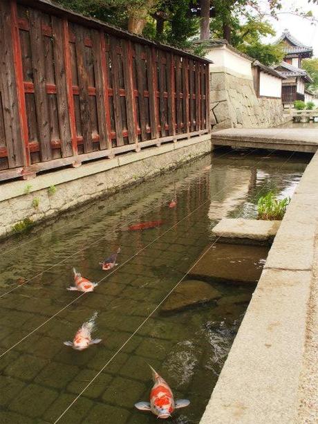 PA050044 近江商人の築いた町，五個荘 / Gokasho, attractive Japanese traditional architectures