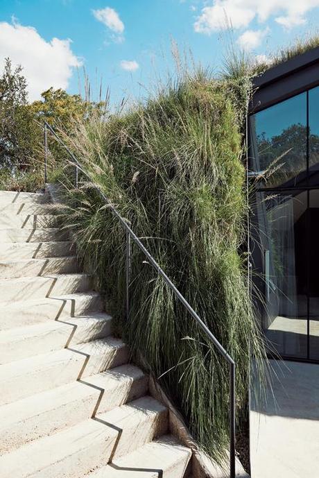 Living green roof stairway with native grasses