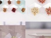 Hexagon Plates: Table Best