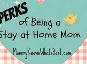 Perks Being Stay-at-Home