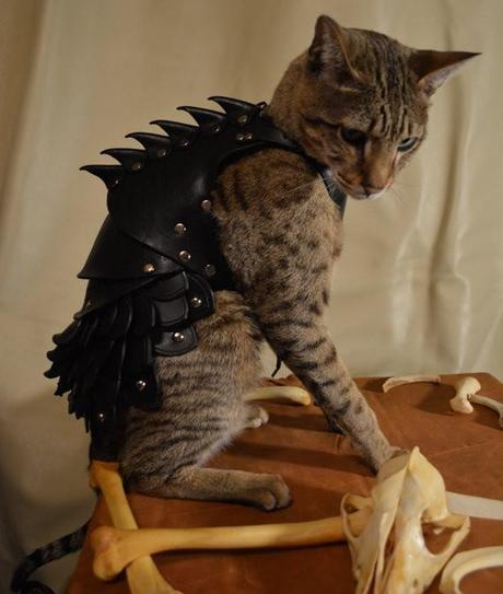 cat-battle-armor-3