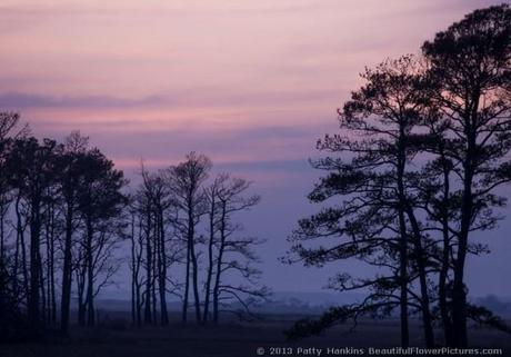 Chincoteague Sunset © 2013 Patty Hankins