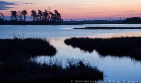 Sunrise at Chincoteague © 2013 Patty Hankins
