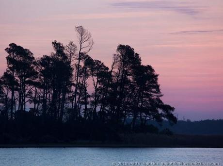 Sunrise at Chincoteague © 2013 Patty Hankins