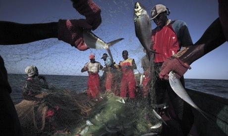 Canoe fishermen in the waters off of Dakar, Senegal