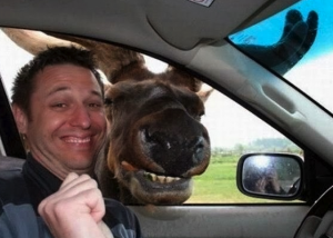 moose car selfie