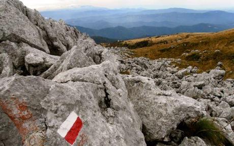 Trail marker on a rocky outcrop near the summit.