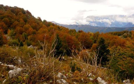 Fall is an especially beautiful time to hike Mt Matajur.