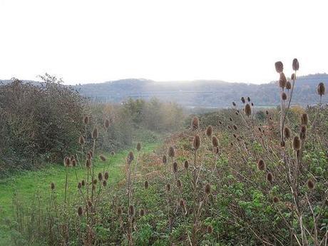 The Gordano Valley