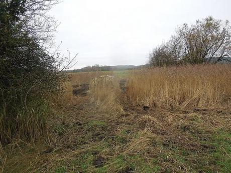 The Gordano Valley