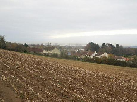 The Gordano Valley