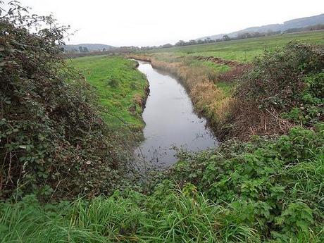 The Gordano Valley