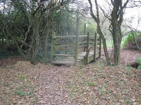 The Gordano Valley