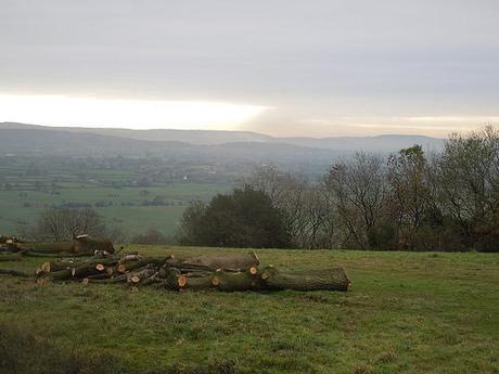 The Gordano Valley