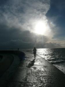 persuasion, janeausten, lymeregis, the cobb