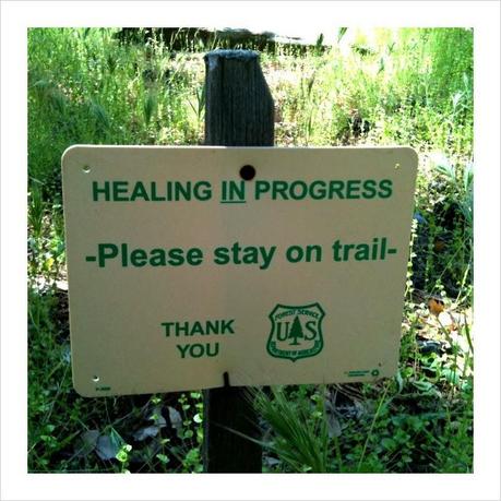 Changes in the Blog Format: Healing in Progress