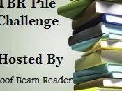 Official 2014 Pile Challenge Hosted Roof Beam Reader