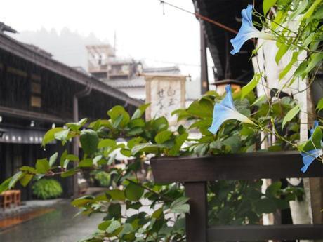 P9070025 驟雨の高山/ Takayama,in autumn rain