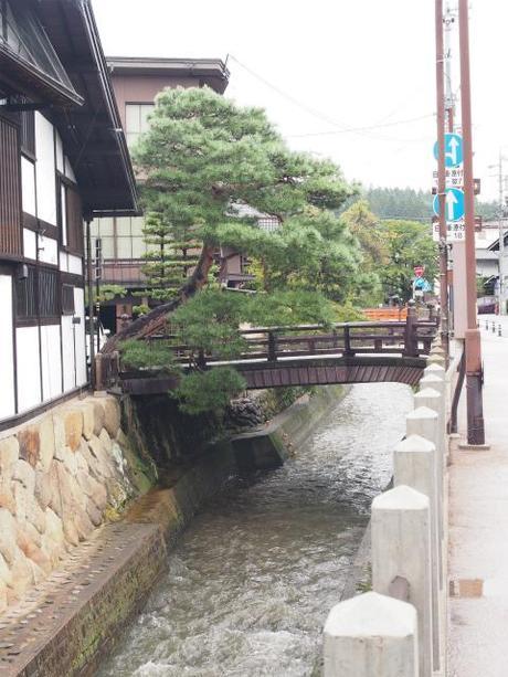 P9070066 驟雨の高山/ Takayama,in autumn rain