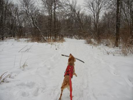 Eau Claire River Trail