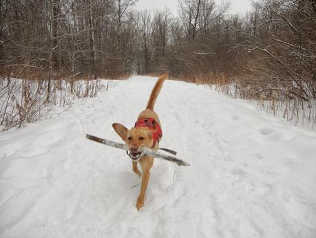 Eau Claire River Trail