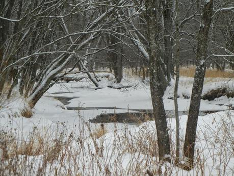 Eau Claire River Trail