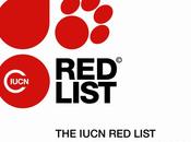 Does IUCN List Work?