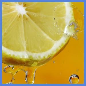 citrus cleaner insert