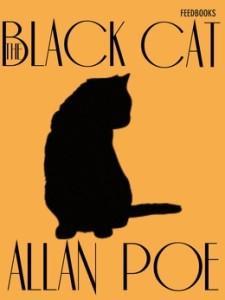 black cat