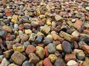 Colourful Foreshore