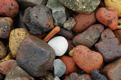 Colourful foreshore