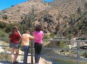 Your Words Flow: "Everything Nature Invites Constantly Are." Gretel Ehrlich Quote, Prompts More