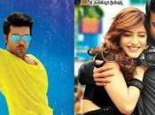 Charan’s Yevadu Boxoffice Collections