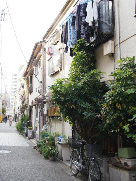 P5030017 樋口一葉を育んだ街，本郷元菊坂町 / Tokyo,Hongo   associated with Ichiyo Higuchi
