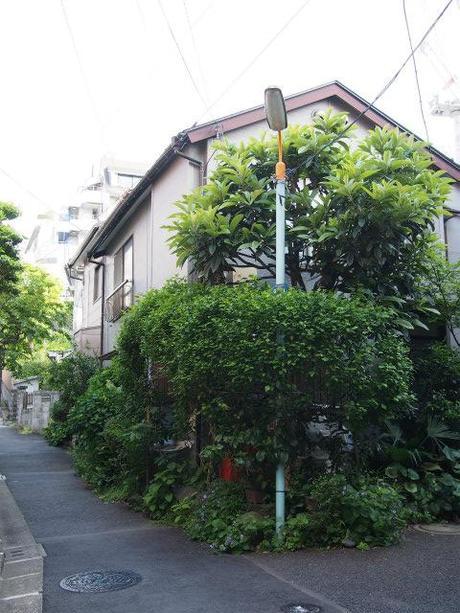 P50300091 樋口一葉を育んだ街，本郷元菊坂町 / Tokyo,Hongo   associated with Ichiyo Higuchi