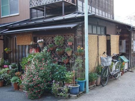 P5030054 樋口一葉を育んだ街，本郷元菊坂町 / Tokyo,Hongo   associated with Ichiyo Higuchi